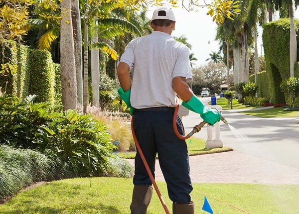 About Marshfield WI Pest Control